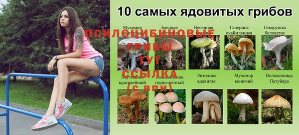 Альфа ПВП Волоколамск