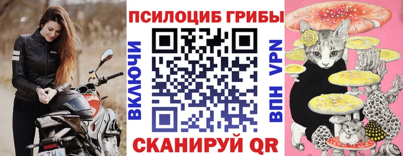 даркнет сайт  Ангарск  Галлюциногенные грибы Cubensis 